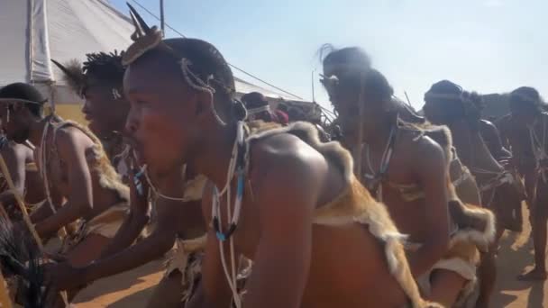Ένα Κοντινό Πλάνο Της Φυλής Basarwa Που Εκτελεί Ένα Παραδοσιακό — Αρχείο Βίντεο