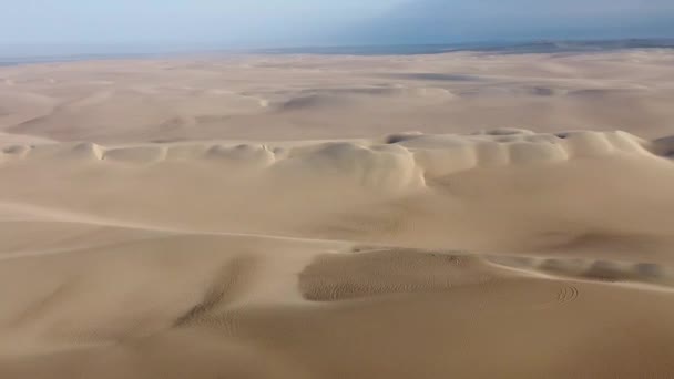 Sand Desert Aerial Shot Sand Dunes Cinematic Landscape People — ストック動画