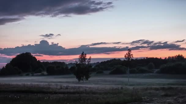 Zicht Groen Landschap Met Mist Mist Regen Donkere Wolken Bewegend — Stockvideo