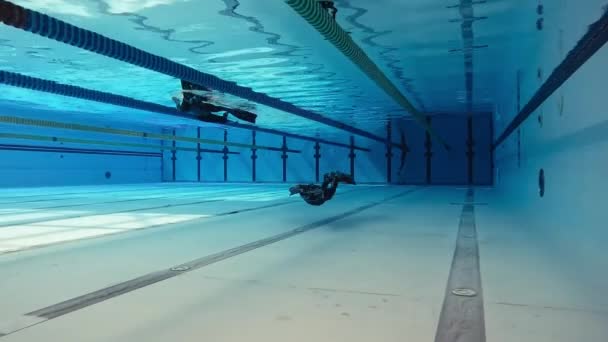 Mannelijke Duiker Duiken Het Zwembad — Stockvideo