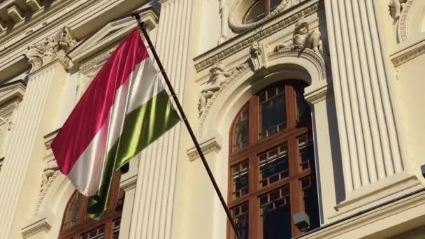 Hungary Flag Colors Red White Green — Stock Video