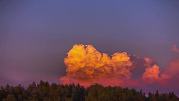 Timelapse Hermosas Nubes Blancas Que Mueven Sobre Árboles Del Bosque — Vídeos de Stock