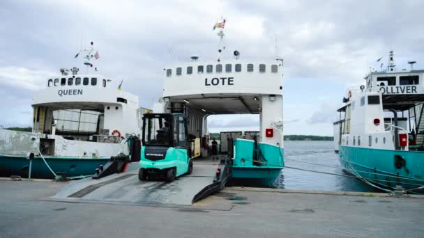 貨物トラックフォークリフト貨物援助物資を運ぶ食品を供給する出荷ニーズを提供するエクスプレス配送重要な船ポートヨーロッパのドックロード取引ルートマリーナ人員 — ストック動画