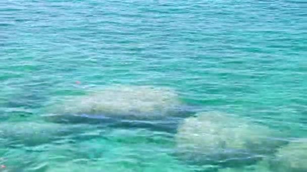 Sea Surface Crystal Clear See Rocks Water — Vídeo de Stock