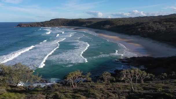 Zatoka Alexandria Parku Narodowym Noosa Ujawnia Antenę Piękna Australia Plaża — Wideo stockowe