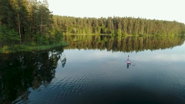 在被森林包围的湖中 妇女在立式划桨板上划桨 空中无人驾驶飞机镜头 — 图库视频影像