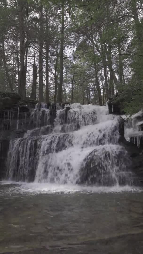 Vertikalt Skott Vattenfall Vintern Skogen Centrala Pennsylvania Rosecrans Falls Brett — Stockvideo