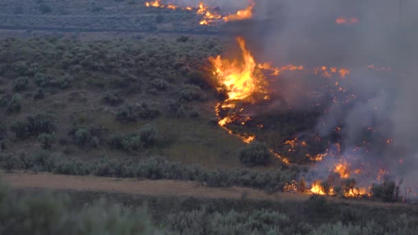 Grassland Fires Burning Highlands California Evening Time America — Vídeos de Stock