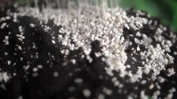 Grains Perlite Being Poured Soil Closeup View — Stockvideo