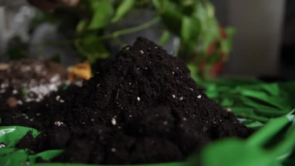 Scattering Perlite Grains Soil Plants Gardening Mixture Close — Stockvideo