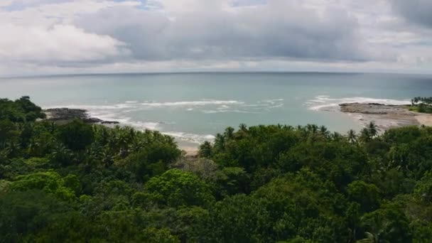 Aerial View Jungle Coast Puntarenas Costa Rica Tilt Drone Shot — ストック動画
