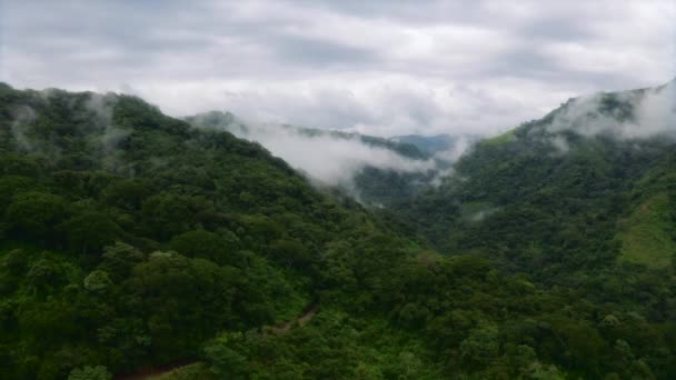 Vista Aérea Para Trás Sobre Selva Montanhas Nebulosas Dia Sombrio — Vídeo de Stock