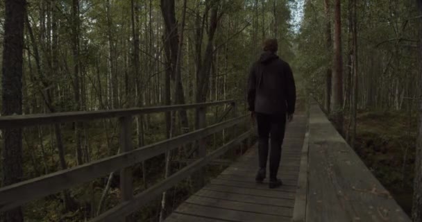 Mężczyzna Przechodzi Przez Most Ciemnym Lesie Szwecji — Wideo stockowe