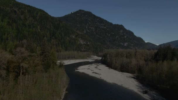 Nagranie Drone Gór Zielonymi Wiecznie Zielonymi Drzewami Rzeką Płynącą Przez — Wideo stockowe