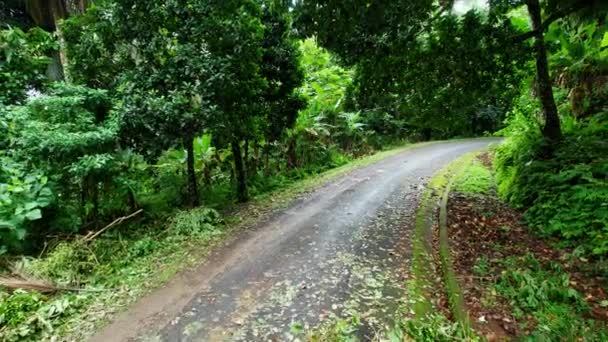 Vista Aérea Sobre Obstáculo Los Bosques Bloqueo Del Camino Secuelas — Vídeos de Stock