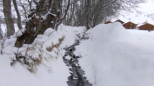 一条半冰冻的小河流过雪蒙蒙的冬季风景 背景上有树木和一些小木屋 天气多雪 冬季运动区 — 图库视频影像