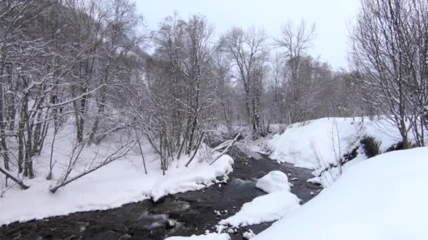 冬天的场景 宽阔的河流流过白雪覆盖的山景 树木丛生 天在下雪 — 图库视频影像