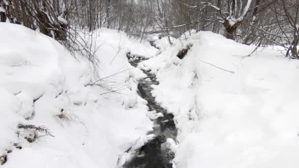 Small Stream Water Flowing Snowy Winter Landscape Trees Snowy Weather — стоковое видео