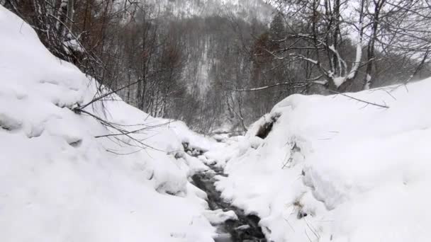Winter Scene Small Stream Water Flows Trhough Snow Covererd Forest — Stockvideo