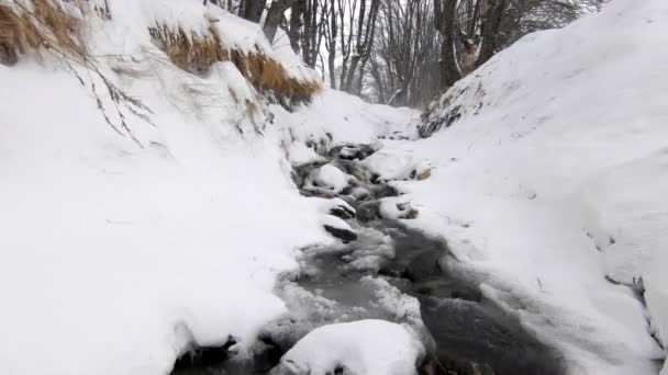 Small Stream Water Flowing Snowy Forest — Video Stock