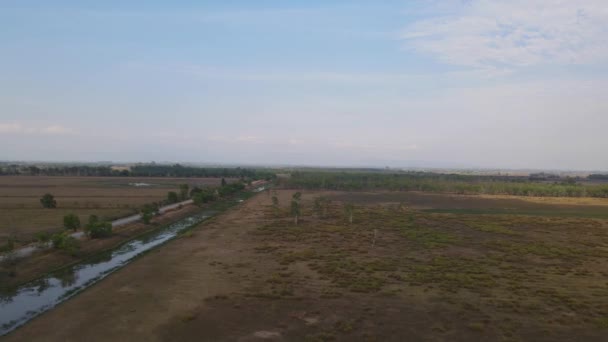 Aerial Footage Sliding Left Revealing Eucalyptus Forest Dirt Farm Road — Vídeo de Stock