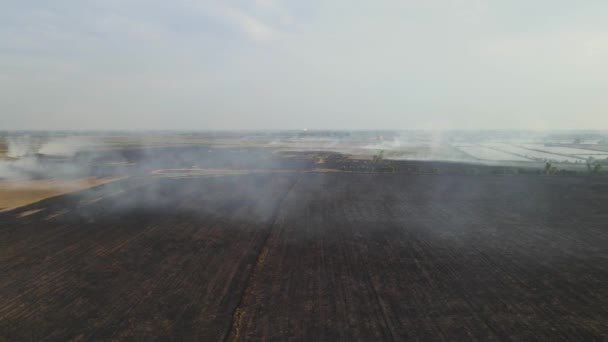 燃焼後にすでに充電された農地の広大な部分を明らかにする逆空中映像 草地燃焼 朴Pli Nakhon Nayok Thailand — ストック動画
