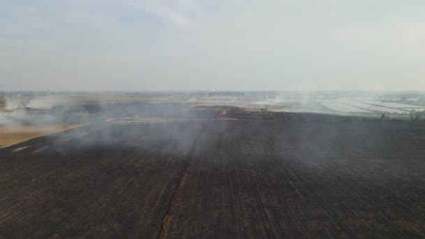 Reverse Aerial Footage Revealing Vast Portion Farm Land Already Tilled — 비디오