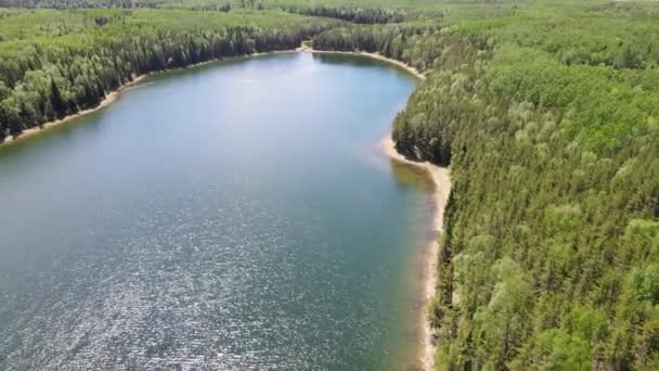 Aerial Large Blue Colored Lake Waves Surrounded Vast Green Forest — 비디오