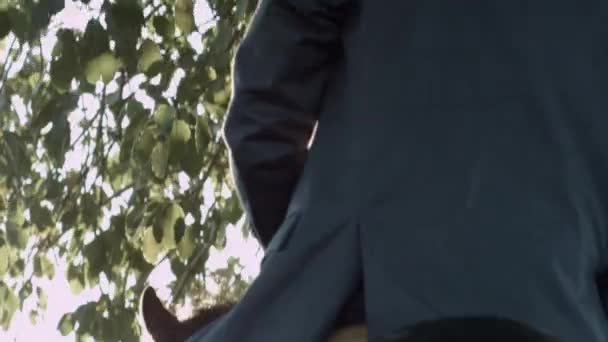 Кінь Їде Полях Агави Поміж Горами Міста Текіла Халіско Мексика — стокове відео