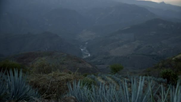 Nubes Moviéndose Sobre Campos Agave Entre Las Montañas Tequila Jalisco — Vídeos de Stock