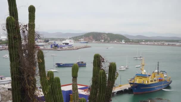 Uma Fábrica Cactos Fica Frente Porto Industrial Mazatlan Sinaloa México — Vídeo de Stock