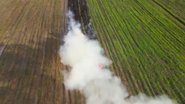 Aerial Footage Sliding Left Row Grass Burning Creating White Polluting — Stock Video