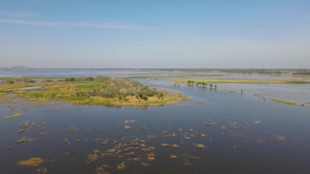 Aerial Steady Footage Distance Island Birds Flying Perching Trees Also — Vídeo de Stock