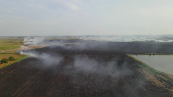 Reverse Aerial Footage Charred Farmlands Smoke Blown Right Landscape Reveals — Wideo stockowe
