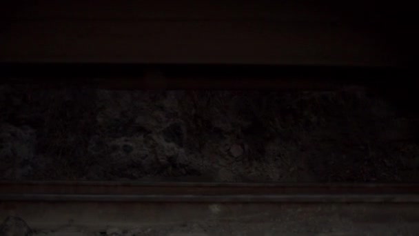 Ruedas Tren Que Mueven Sobre Las Vías Del Ferrocarril Junto — Vídeo de stock