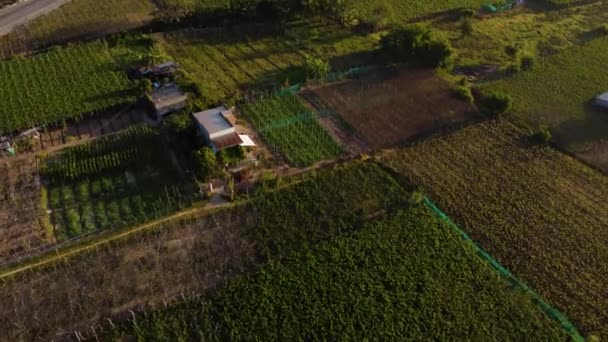 Pequena Cidade Costeira Com Montanha Florestal Muitos Campos Agrícolas Uva — Vídeo de Stock