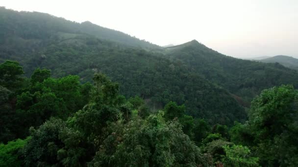 Aerial View Natural Landscape Tropical Rainforest Jungle Samui Thailand — 비디오