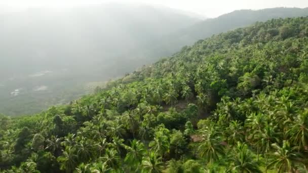 泰国高山辉热带雨林丛林中树木上的绿色健康叶子的空中景观 — 图库视频影像