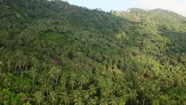 Aerial View Tropical Rainforest Jungle Samui Mountains Thailand — Video