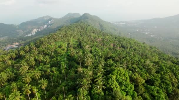 Vista Aérea Sobre Palmeras Selva Tropical Las Montañas Samui Tailandia — Vídeos de Stock