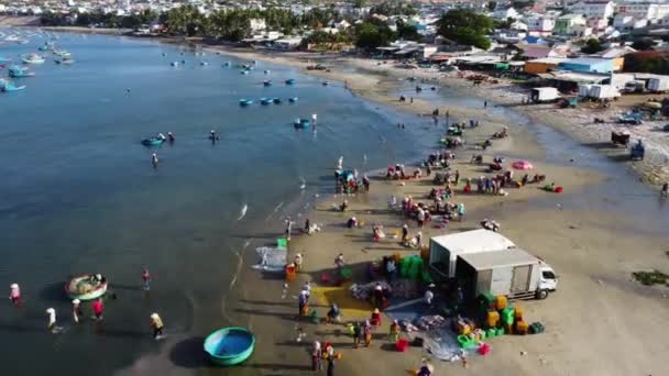 Aerial Forward View Beach People Loading Trucks Shell Seafood Rural — Vídeos de Stock