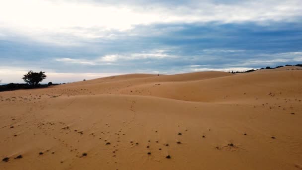 Aerial Forward View Red Sand Dunes Timeless Atmosphere Girl Running — Vídeo de Stock