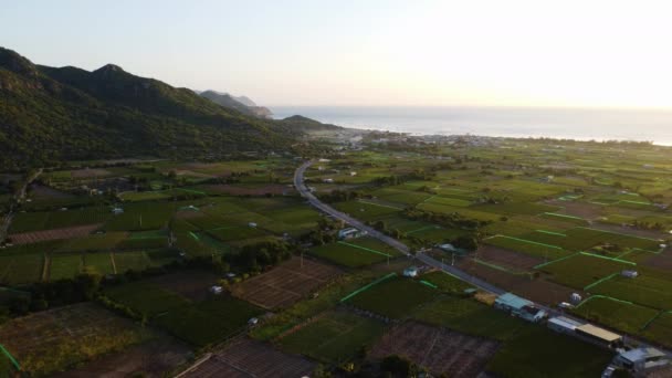 Beautiful Beach Sunset Green Fields Nui Chua Country Side Vietnam — Stockvideo