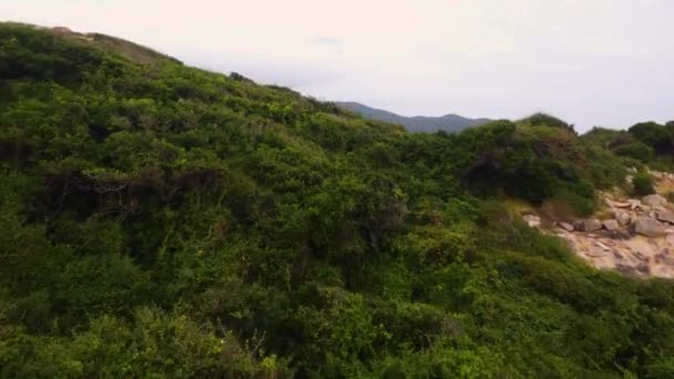 Vista Aerea Avanti Una Baia Incontaminata Mare Blu Con Vegetazione — Video Stock