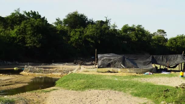 Vue Statique Une Ferme Canards Boîtier Plein Canetons Viêt Nam — Video