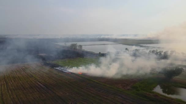 Luchtfoto Van Landbouwgronden Die Roken Uit Het Vuur Dat Gras — Stockvideo