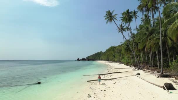 Drone Vista Uma Pessoa Caminhando Uma Praia Tropical Pacífica — Vídeo de Stock