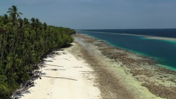 Drone Widok Tropikalnej Spokojnej Plaży Palmami Rafy Koralowej Odpływie — Wideo stockowe