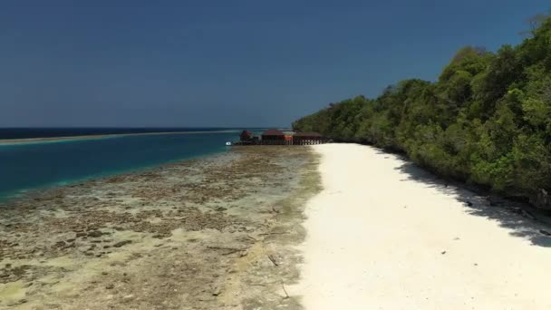 Drone Πλησιάζει Μια Αποβάθρα Ένα Τροπικό Νησί Λευκή Άμμο Φοίνικες — Αρχείο Βίντεο