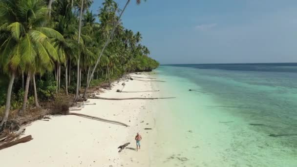 Drone View Person Walking Peaceful Tropical Beach Surrounded Palm Trees — стоковое видео